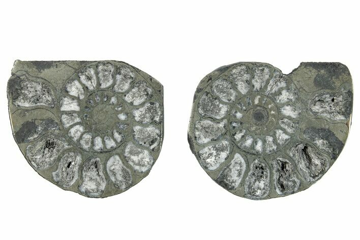 Pyritized Cut Ammonite Fossil Pair - Morocco #276593